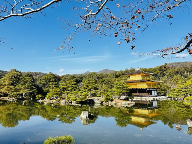 【Kinkaku-ji: A Glittering Journey of the Soul】