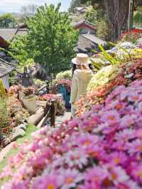 Lijiang Family Trip | Discovered a Fairy-tale Restaurant Overlooking the Panoramic View of the Ancient City