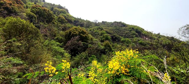 再爬靈白線，無限春光在險峰