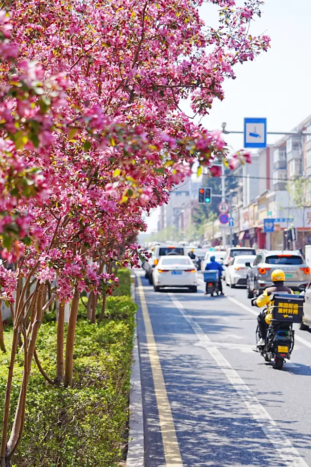 The G54 cultural tourism tram in Changchun is so artistic!