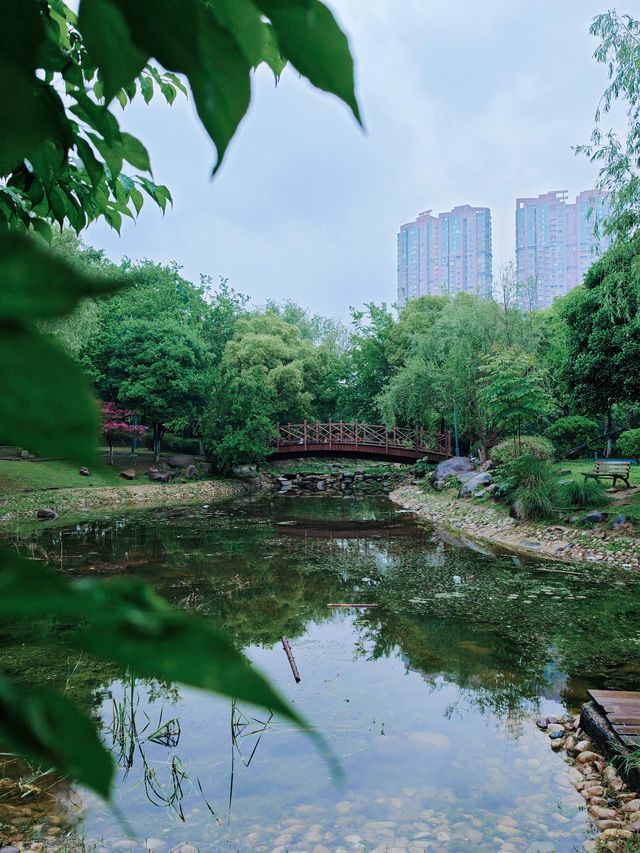 芜湖濱江公園｜風情河畔的柔情畫卷