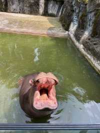 五一好去處！！貴州森林野生動物園