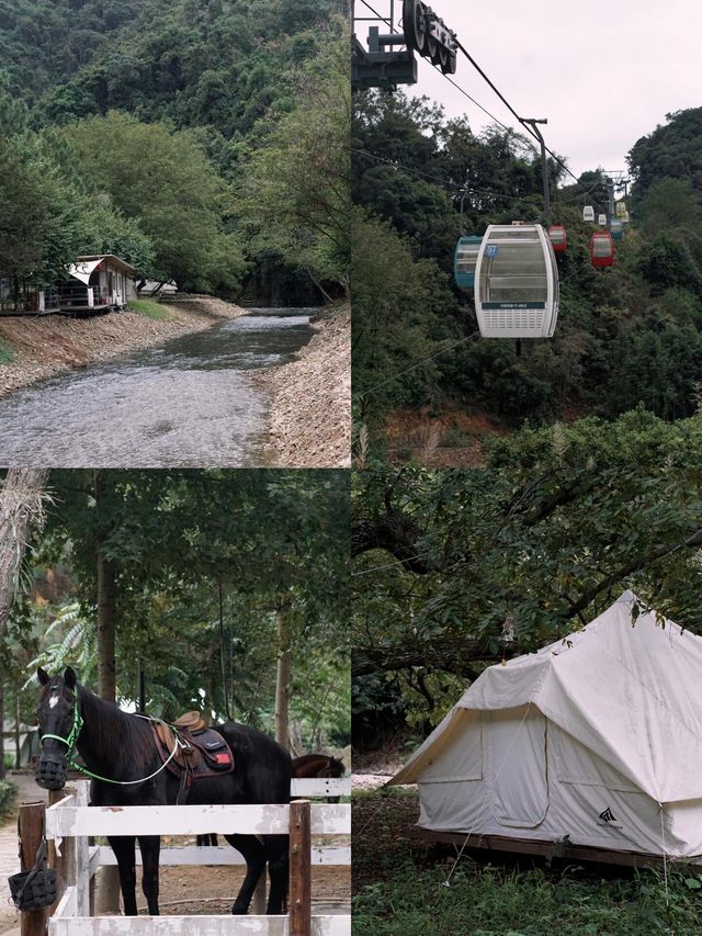 韶關《丹霞陵西閣》民宿