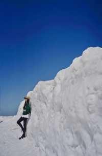 每年只限定兩個月的20米高大雪牆太震撼了