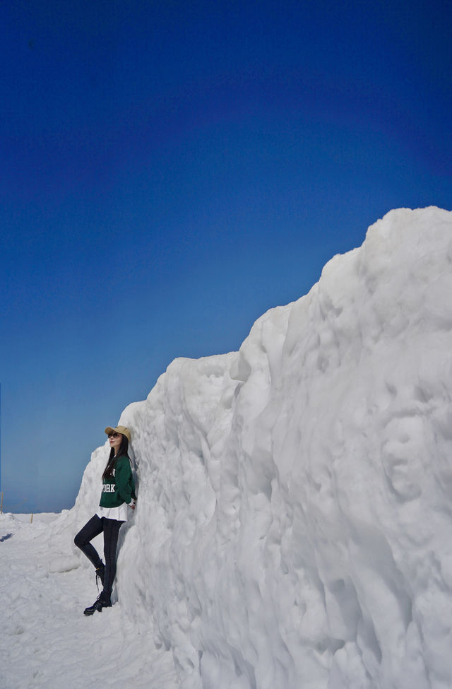 每年只限定兩個月的20米高大雪牆太震撼了