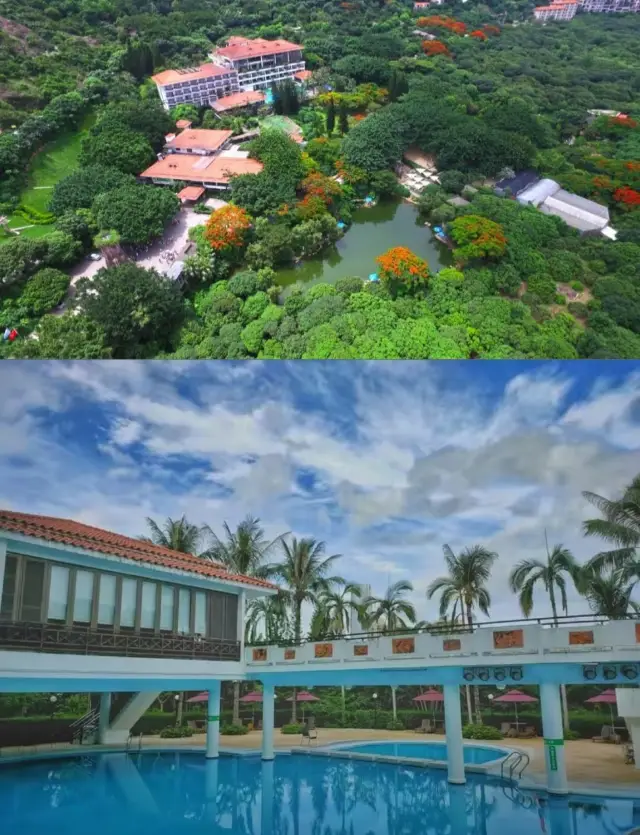 สถานที่ถ่ายรูปที่ศักดิ์สิทธิ์ของเซินเจิ้น ราวกับอยู่ในสวรรค์! คู่มือโลกแห่งความเขียวขจี