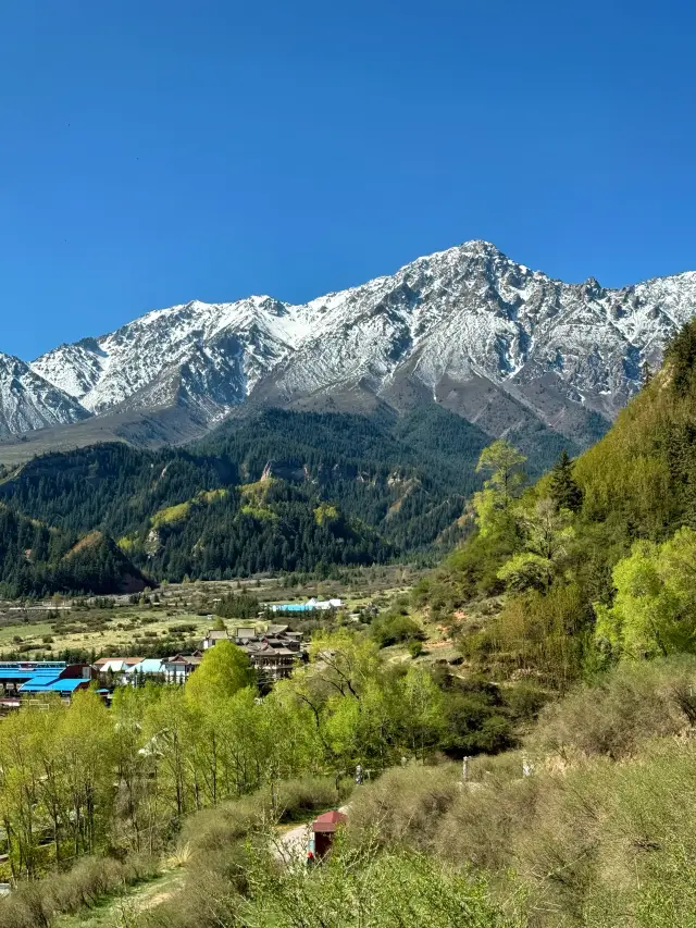 Beneath the Qilian Snow Mountain, on the cliffs, stands the ancient temple of a thousand years, the Mati Temple