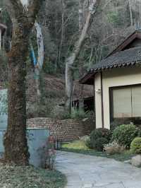 跋山涉水，住進這間中式禪意民宿～|。