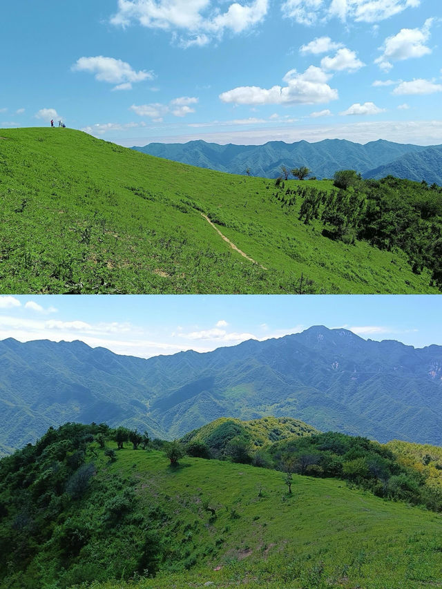 秦嶺的“阿勒泰” 超適合初夏徒步吆