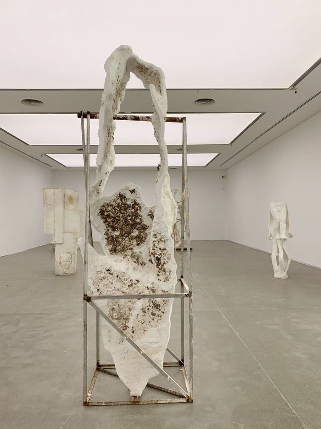 魔都免費看展,蘇暢讓時間穿過 魔都免費看展,蘇暢讓時間穿過