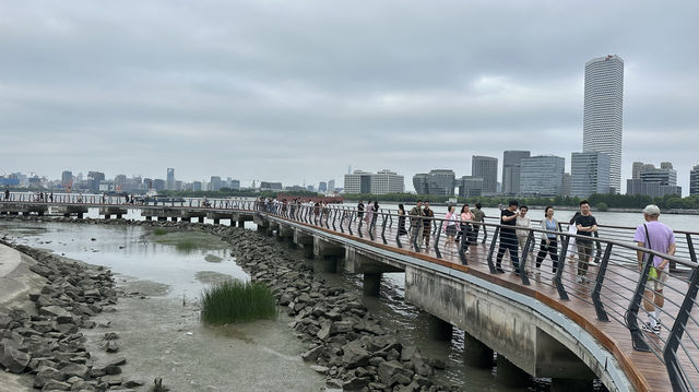 徐匯西岸