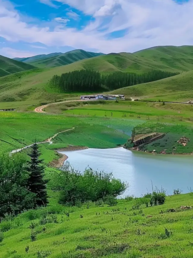 Chasing the Wind and Freedom: The Magnificent Tapestry of Dahe Grass Mountain in Huize County