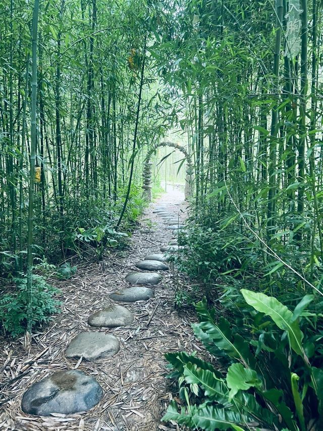 石牛山，福建的小眾秘境，美到窒息！