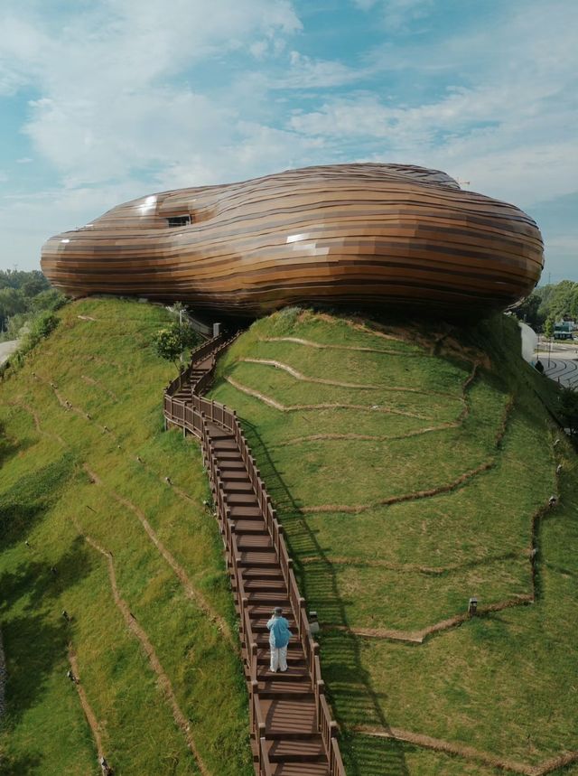 江浙滬最寶藏的旅行城市出現了