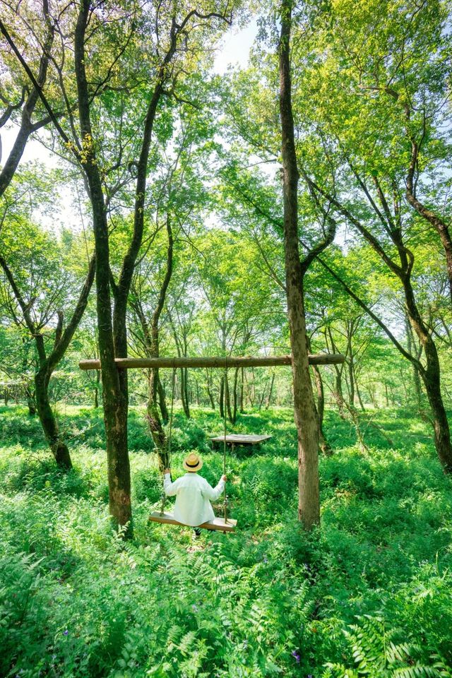 如果温州旅遊有段位，這個都是王者級別
