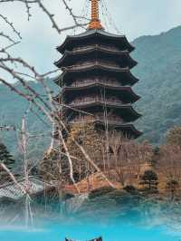 韶關雲門寺一日遊攻略，廣州出發，說走就走！