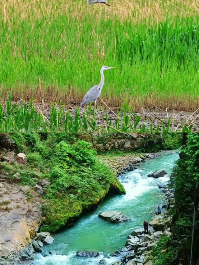 推薦京津冀周邊的小眾旅遊地，讓你避開人擠人