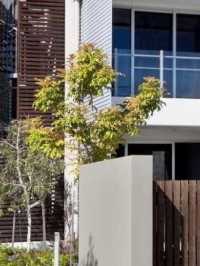 🌴 Noosa's Top Stay: RACV Resort's Splash & Comfort 🏖️