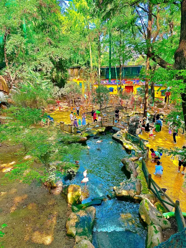Trần nhà em bé dạo chơi, niềm vui của những chú chim bay