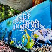 打卡深圳觀瀾海洋世界