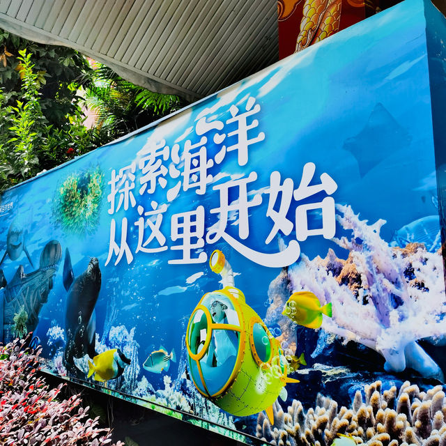 打卡深圳觀瀾海洋世界