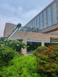 🌟 Chandigarh's Finest: Top Hotel Picks! 🌟
