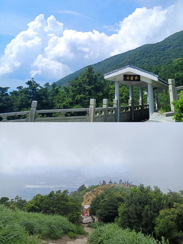 鐵直達深圳梧桐山！去爬山看這篇就夠啦|||