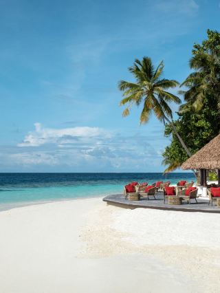 🏝️ Maldives Magic: Top Picks at Dhawa Ihuru 🌟