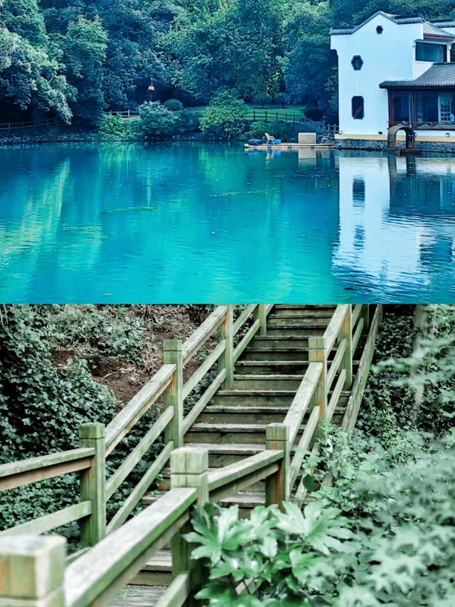 南京超小眾夏日避暑秘境發朋友圈被問瘋了