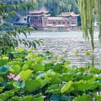 【濟南天下第一泉】戶外園林風景，適合任何季節遊覽