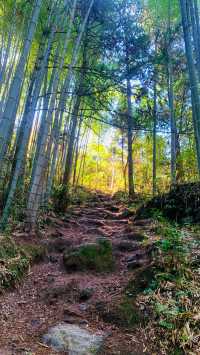 寧波周邊｜仙居公盂村徒步，有山有水有竹林
