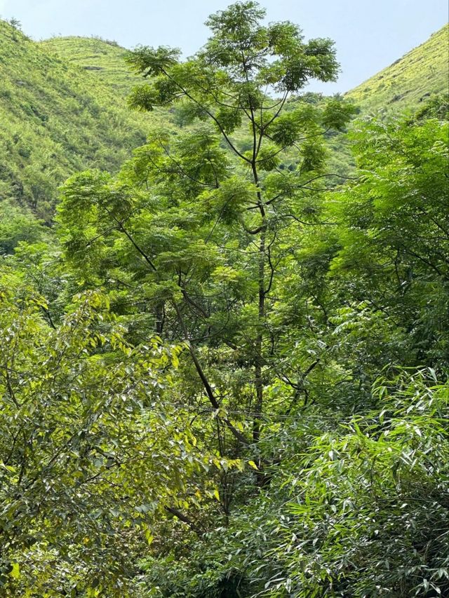 貴州安順羅秧河：未及早探訪的遺憾之美