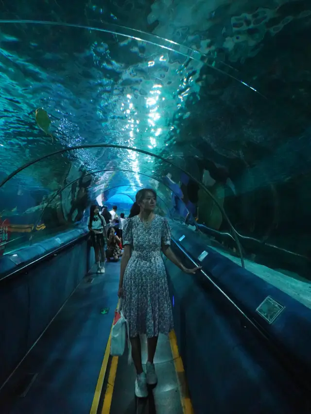 Beijing Travel | Fuguo Underwater World Travel Guide