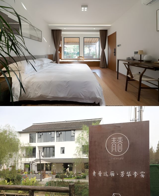 稻花香里說豐年 快帶寵物出門玩｜芳華李窯