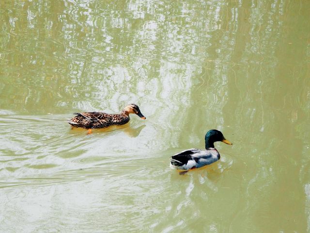 西安浐灞國家濕地公園|一年去N次的遛娃聖地。 西安浐灞國家濕地公園|一年去N次的遛娃聖地。