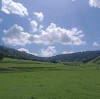 Beautiful grasslands escape in Shaanxi 