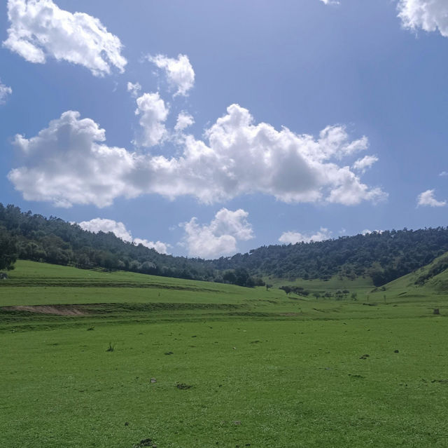 Beautiful grasslands escape in Shaanxi 