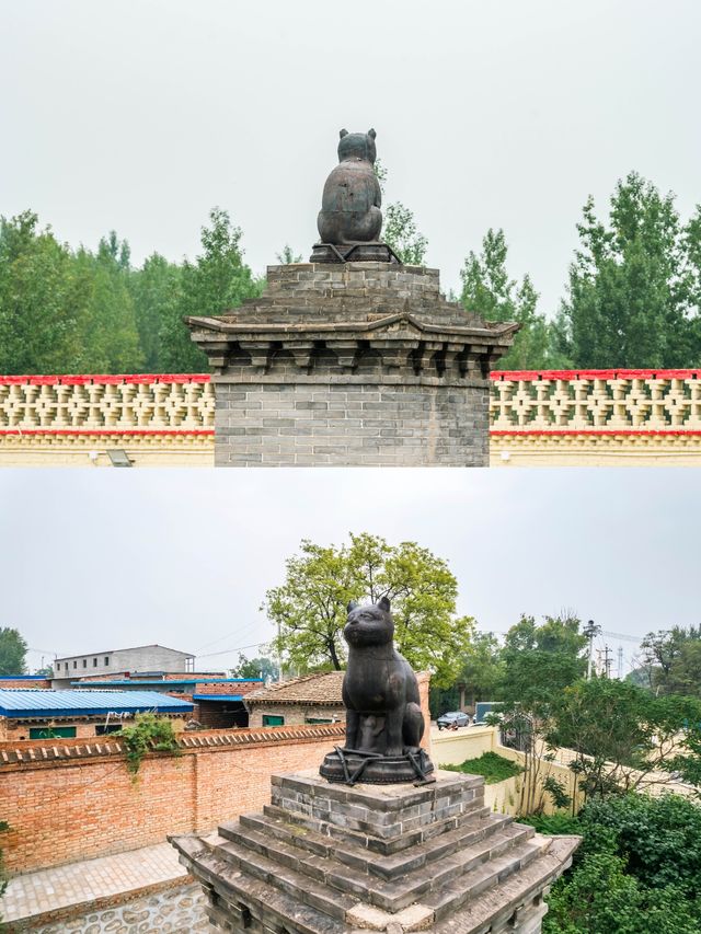 山西真的有為貓咪建造的廟宇——喵喵教總壇。