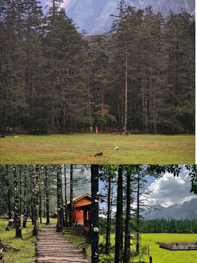 山不見我，我自去見山。。
