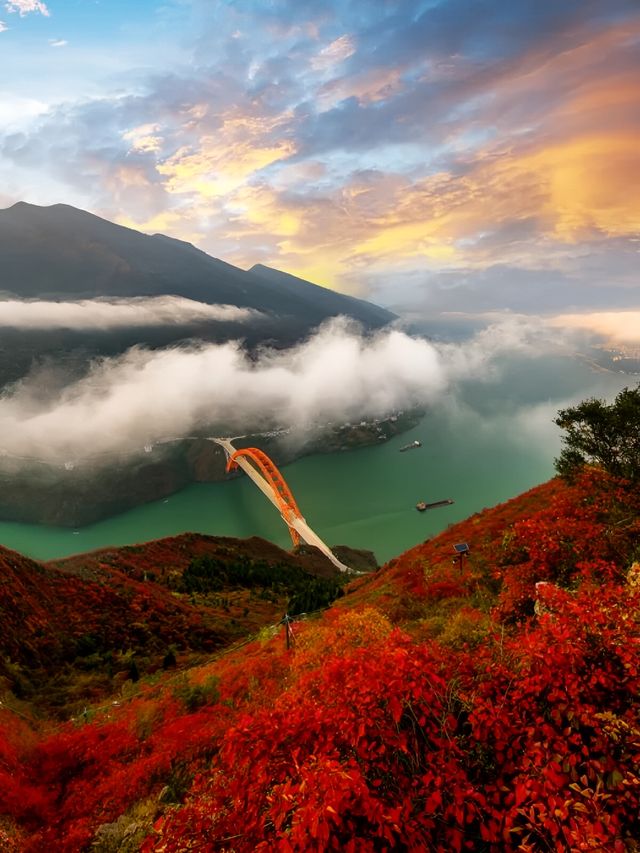 重慶巫山三峽‖滿山紅葉似彩霞，彩霞年年映三峽。