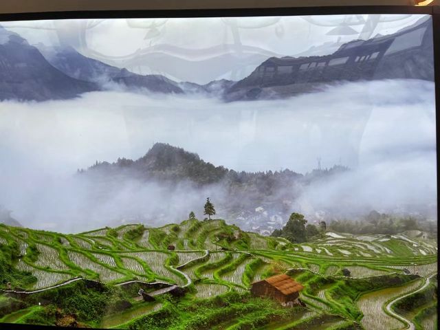 雲山序民宿推介 | 一段難忘的回憶。