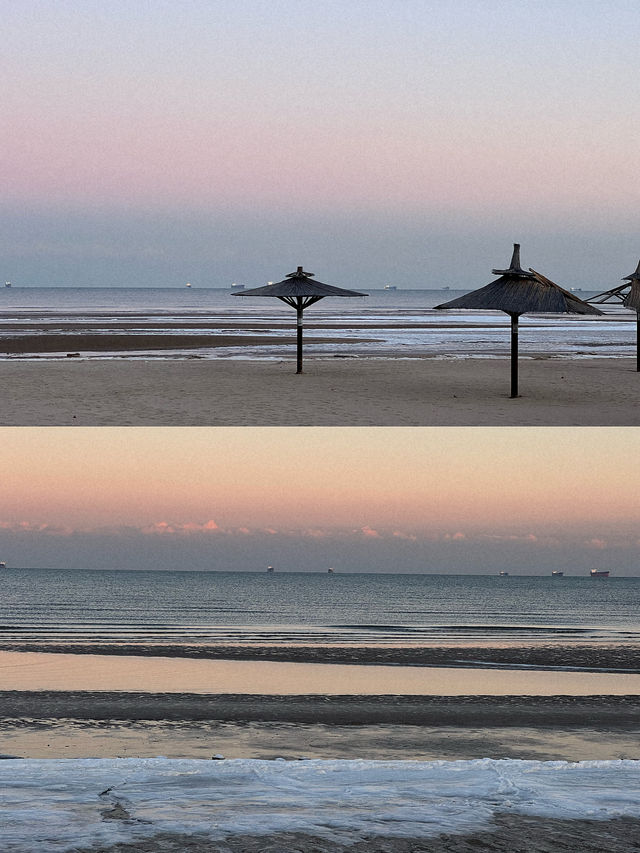 𓅯ˎˊ 秋冬的小島 —— 在海邊「餵海鷗」 。