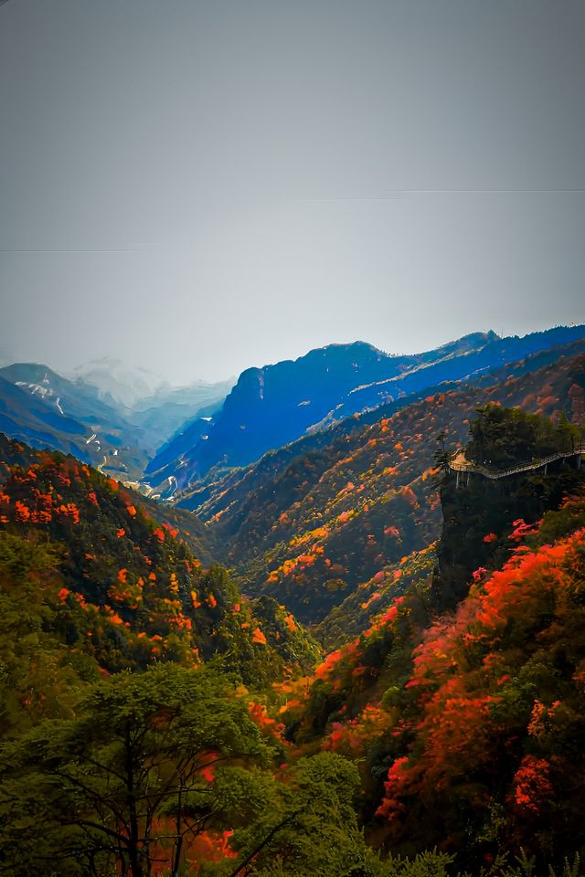 秋遊好去處，這個秋天一定要去巴山大峽谷！。