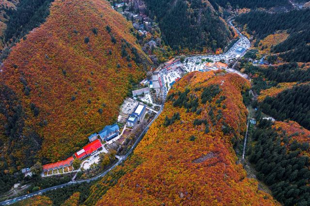 秋染興隆山 詩畫醉榆中。