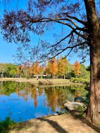 福州閩江公園|福州的浪漫，閩江公園佔一半。