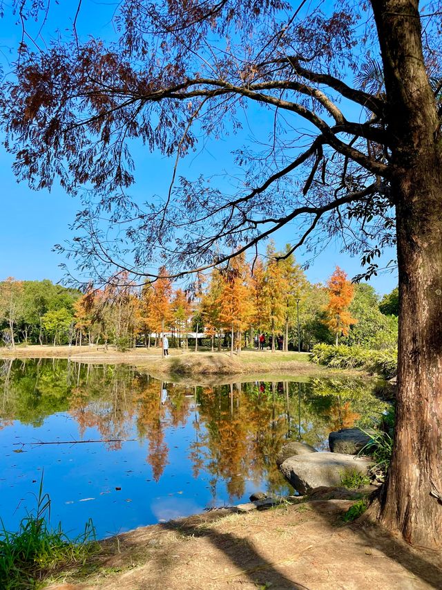 福州閩江公園|福州的浪漫，閩江公園佔一半。