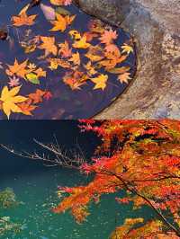 東京奧多摩紅葉‖湖畔賞秋旅遊打卡避坑攻略。