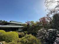 Exploring the Cultural and Natural Heritage of Nikko