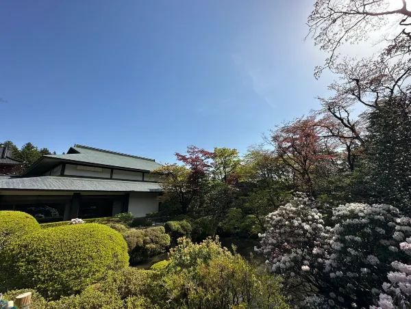 Exploring the Cultural and Natural Heritage of Nikko
