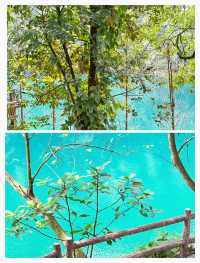 《國家地理》沒有騙我，蝴蝶谷景區被嚴重低估。